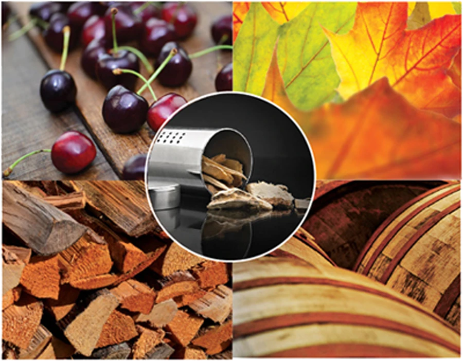 BBQ Rookbuis Starterkit - Napoleon 4 BBQ Rookbuis Starterkit - Napoleon - Afbeelding 4