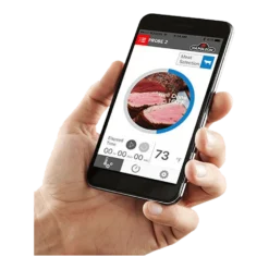 BLUETOOTH Thermometer Incl. 2 Probes - Napoleon -Bastard Barbecues Winkel bluetooth thermometer incl 2 probes napoleon 3